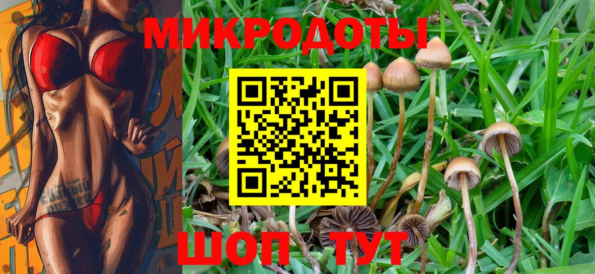 Междуреченск  Псилоцибиновые грибы Psilocybine cubensis  Вход с VPN 